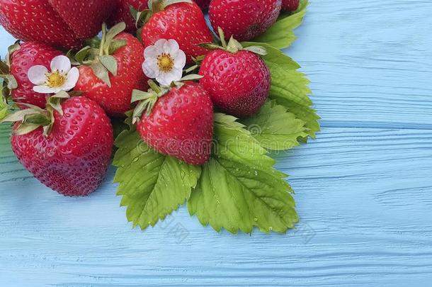 新鲜的<strong>有机</strong>的<strong>草莓</strong>夏收割向一蓝色木制的b一ckgro