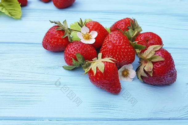 新鲜的有机的草莓健康的成<strong>果农</strong>事夏收割向