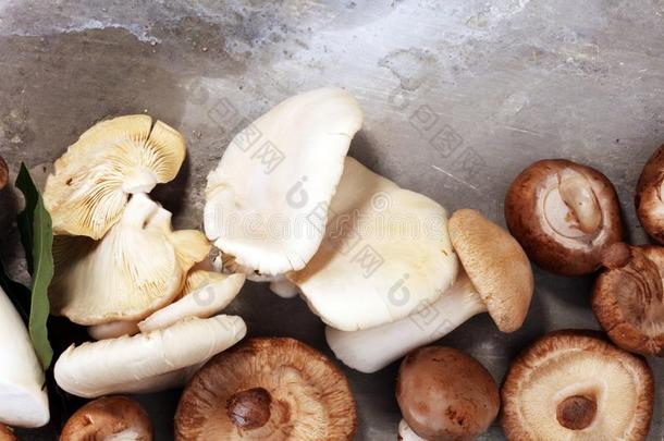 多样关于生的蘑菇向灰色的表.牡蛎和别的新鲜的英语字母表的第13个字母