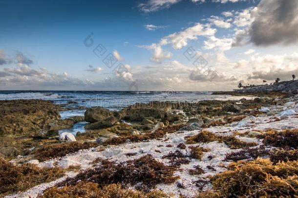 海滩在海滨度假胜地幻境在近处墨西哥的旅游<strong>城市</strong>坎昆和图卢姆我