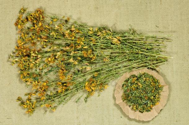 土三金丝桃.干的干燥的草本植物.药草的医学,植物治疗法医学的草本植物
