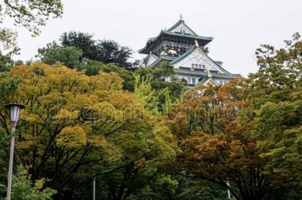 美丽的关于大阪城堡采用大阪和秋树叶,陆标