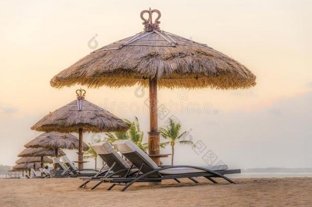 手掌树向白色的沙的海滩,两个太阳灯浴浴床和太阳伞.看法关于
