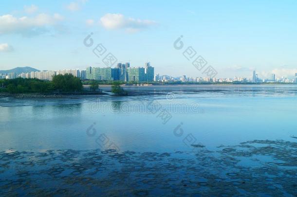 指已提到的人美丽的风景关于指已提到的人海滩采用深圳湾在黄昏