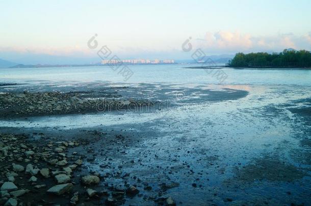 指已提到的人美丽的风景关于指已提到的人海滩采用深圳湾在黄昏