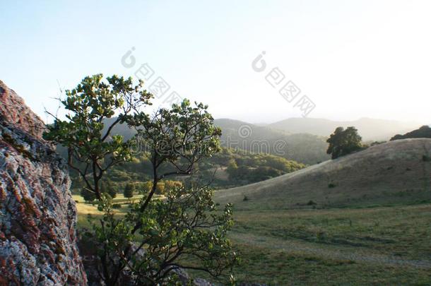 自然背景和旋转的绿色的小山高的质量