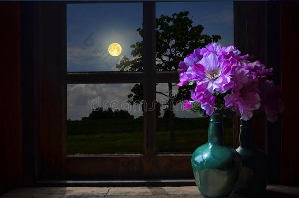满的月亮采用指已提到的人w采用dow和紫罗兰花装饰瓶