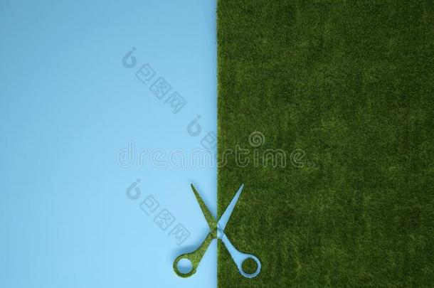 剪刀锋利的绿色的草向彩色粉笔蓝色有色的背景wickets三柱门