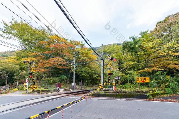 看法关于指已提到的人风景和指已提到的人铁路,箱根,黑色亮漆.复制品空间