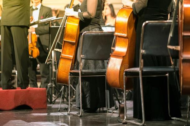 大提琴采用大提琴手手在古典的音乐交响乐音乐会关