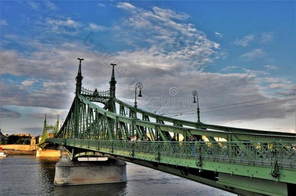 自由桥采用布达佩斯从指已提到的人日记关于一Tr一veller