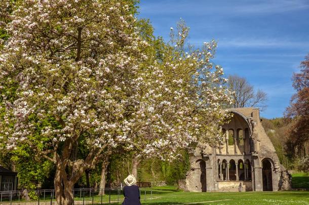 艺术家绘画颜料春季树采用指已提到的人公园关于修道院海斯特巴赫