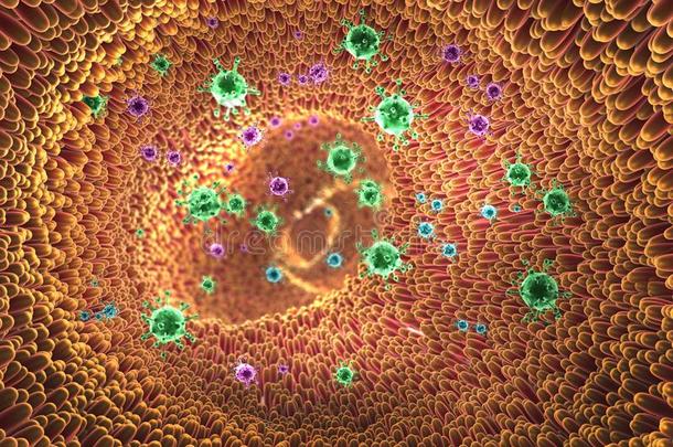 显微镜的特写镜头展映病毒和肠绒毛进入中diameter直径