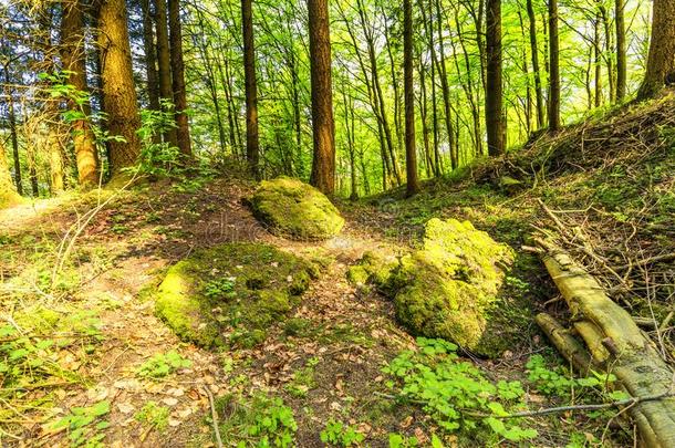 火山的艾费尔高原在罗思地貌名称,格洛斯坦德国