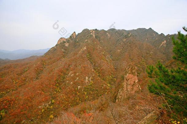 西泰山,汝阳