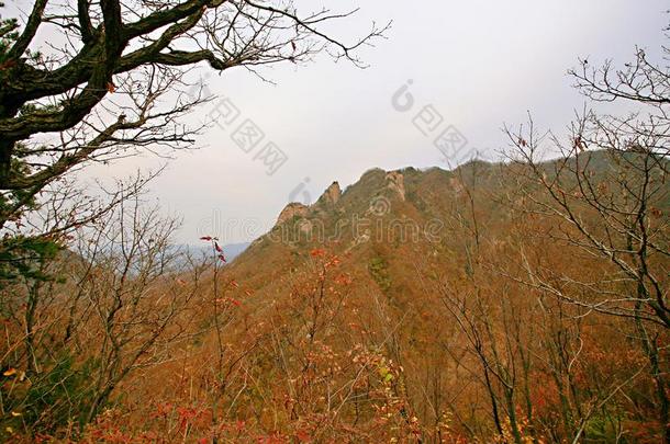 西泰山,汝阳