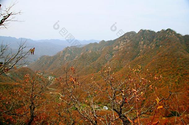 西泰山,汝阳