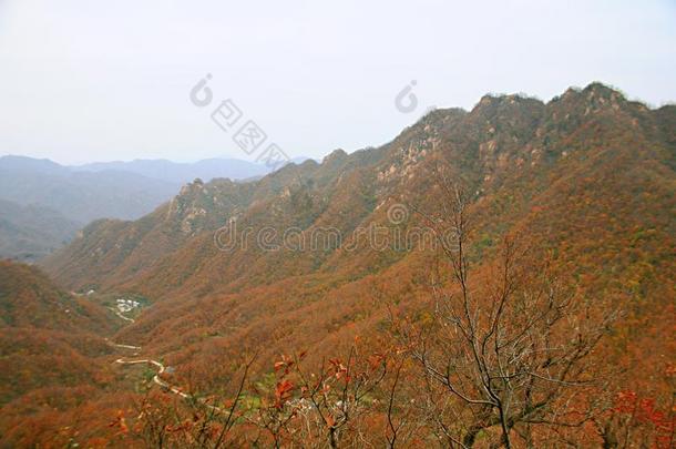 西泰山,汝阳