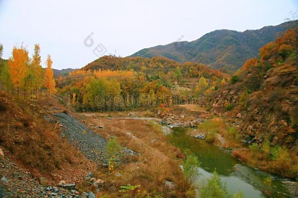 西泰山,汝阳