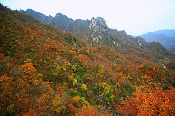 西泰山,汝阳