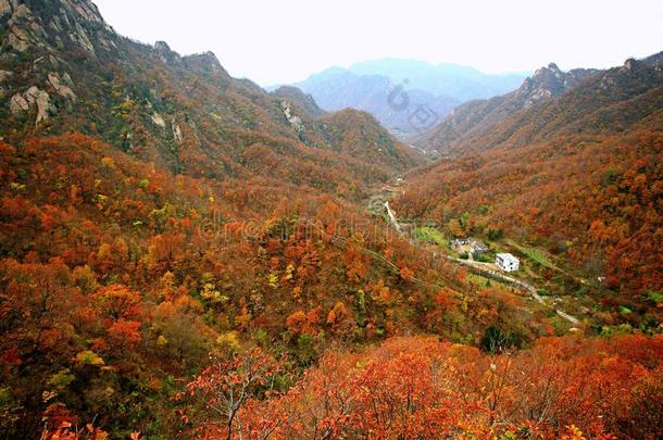 西泰山,汝阳