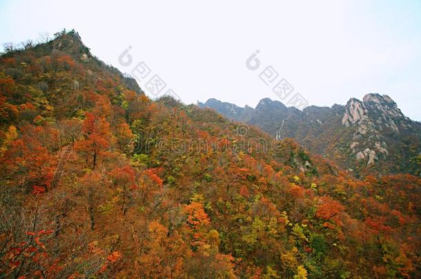 西泰山,汝阳