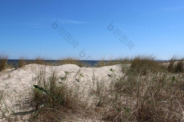 风景优美的看法向波罗的海的海滨和丛关于草向<strong>边疆</strong>