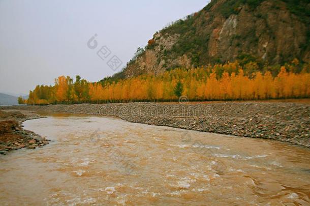 西泰山,汝阳