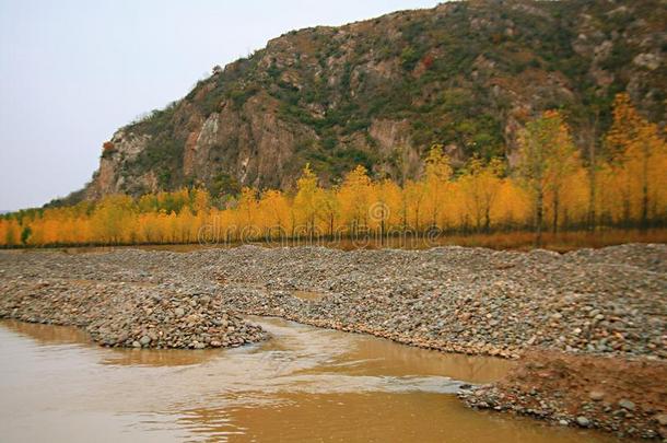 西泰山,汝阳