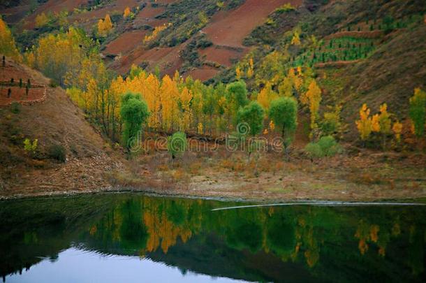 西泰山,汝阳