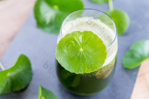 混合绿色的破<strong>铜钱</strong>属植物,亚洲的果汁和绿色的背景.
