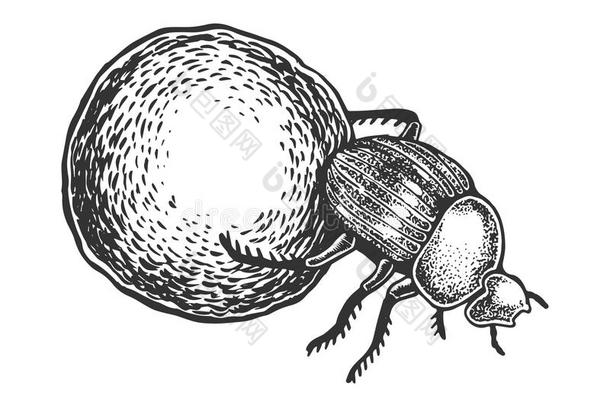 发出嗡嗡声的昆虫昆虫甲壳虫版画矢量说明