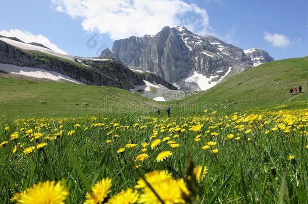 徒步旅行通过阿尔卑斯山的草地â阿斯特拉卡山峰