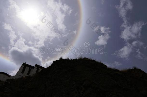 太阳光环白色的det.一些岩石和树树枝