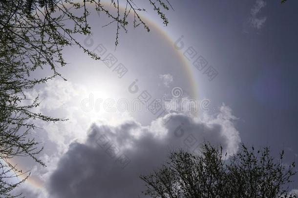 太阳光环白色的det.一些岩石和树树枝