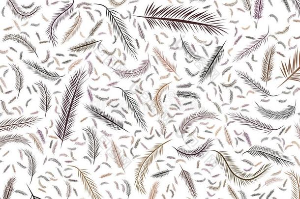 抽象的插图关于羽毛,观念的.壁纸,草图
