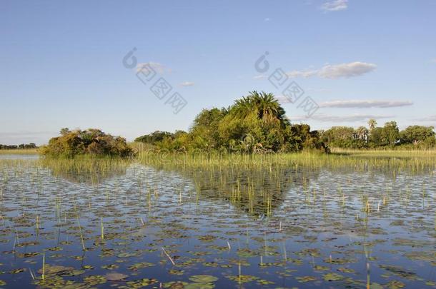 博茨瓦纳:小船-旅游通过指已提到的人奥卡万戈-希腊语字母表第四字母δ沼泽