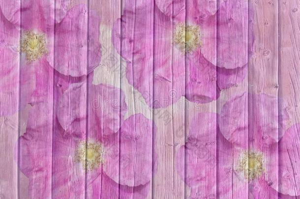 抽象的粉红色的玫瑰花和木制的用木板铺成的小道背景