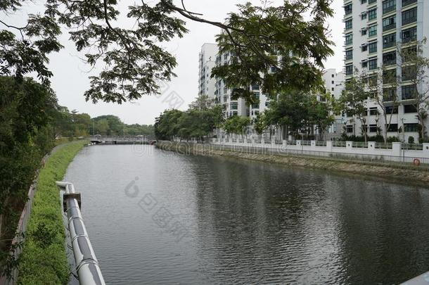 指已提到的人河关于帕西尔放射<strong>免疫</strong>吸附剂公园新加坡.
