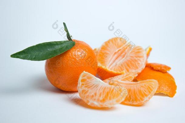 成熟的普通话柑橘属果树隔离的柑橘普通话e桔子向极少的量