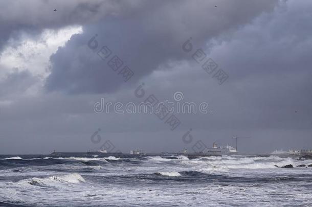 有暴风雨的<strong>牛奶</strong>和奶制品<strong>海海</strong>港