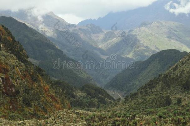 我的书。山谷,鲁文佐里山山国家的公园