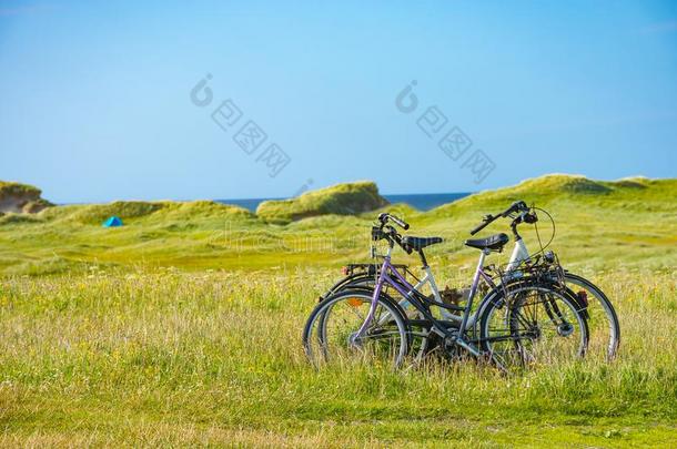 骑脚踏车兜风和狂野的魅力-两个自行车采用指已提到的人绿色的马海毛菲耶尔