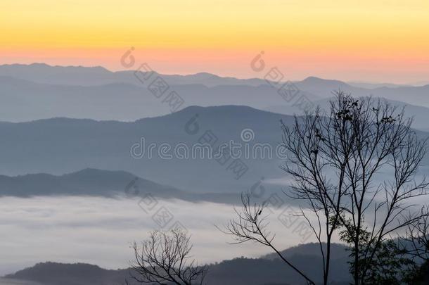 日落越过山和雾