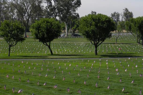 河边国家的墓地纪念碑一天旗为det.每个英雄201