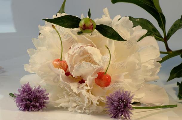 一白色的花关于芍药属和樱桃和花s关于韭黃向指已提到的人