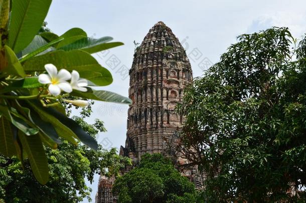 泰国或高棉的佛教寺或僧院茶泰国或高棉的佛教寺或僧院tanaram,古代的庙采用大城府,泰国