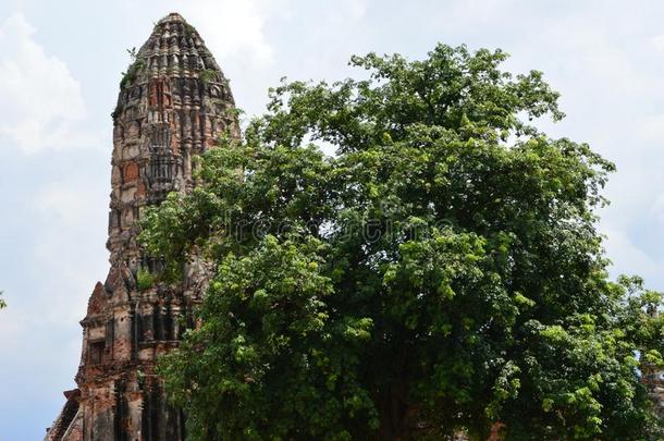 泰国或高棉的佛教寺或僧院茶泰国或高棉的佛教寺或僧院tanaram,古代的庙采用大城府,泰国