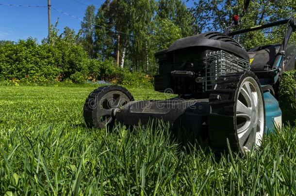 割草草地,草地割草机向绿色的草,割草机草设备,