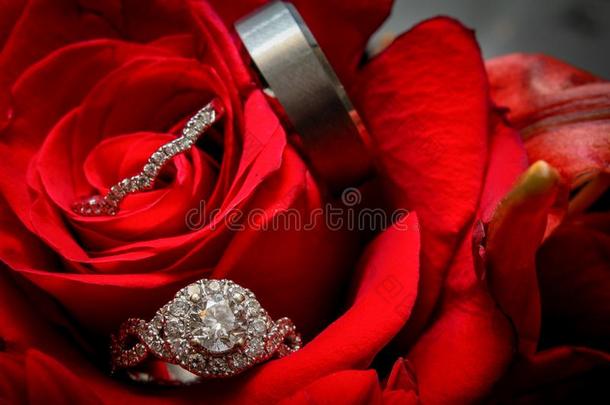 订婚戒指和婚礼禁止采用一红色的玫瑰